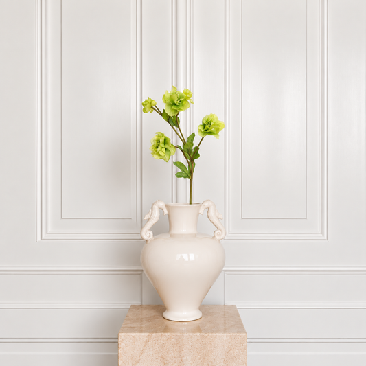 Helleborus Flower