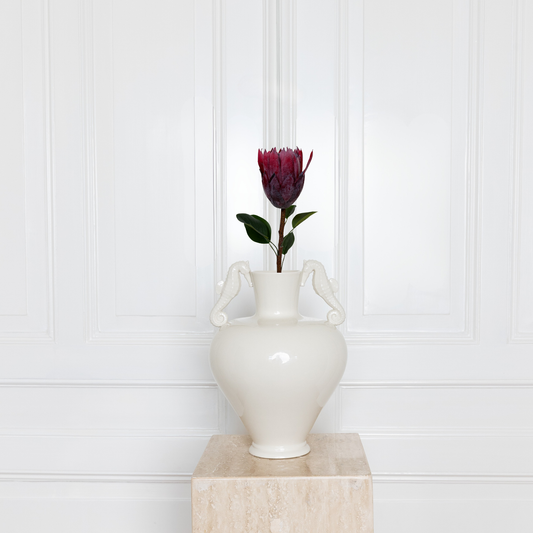 Protea Flower Ruby Wine